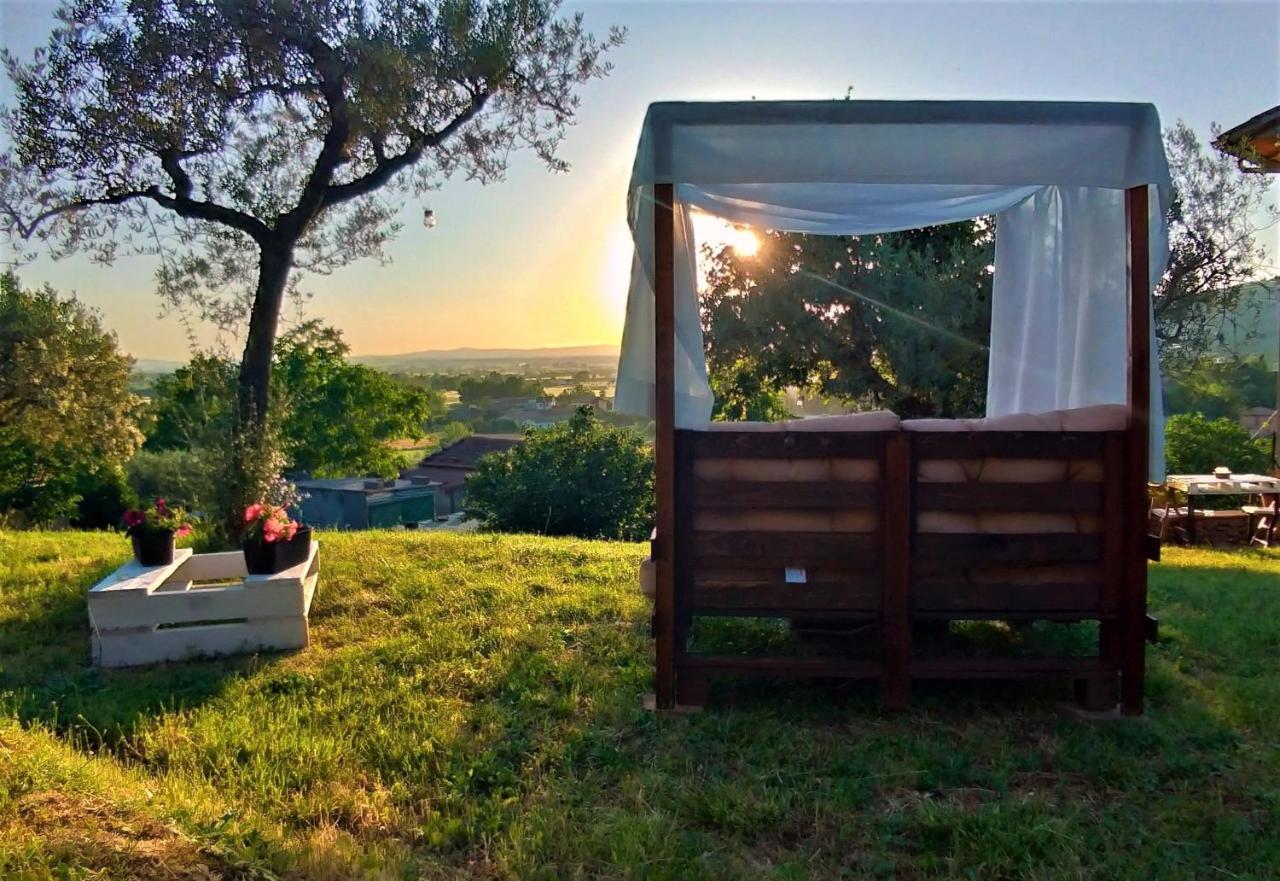 La Casa Tra Gli Ulivi Bed & Breakfast Кортона Екстериор снимка