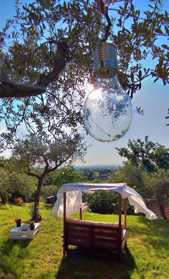 La Casa Tra Gli Ulivi Bed & Breakfast Кортона Екстериор снимка