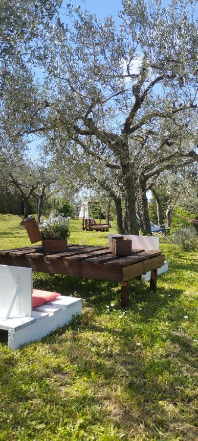 La Casa Tra Gli Ulivi Bed & Breakfast Кортона Екстериор снимка