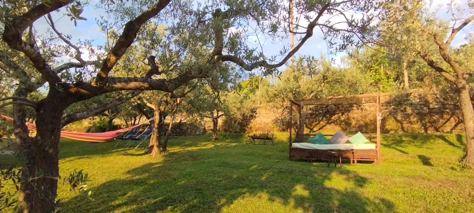 La Casa Tra Gli Ulivi Bed & Breakfast Кортона Екстериор снимка