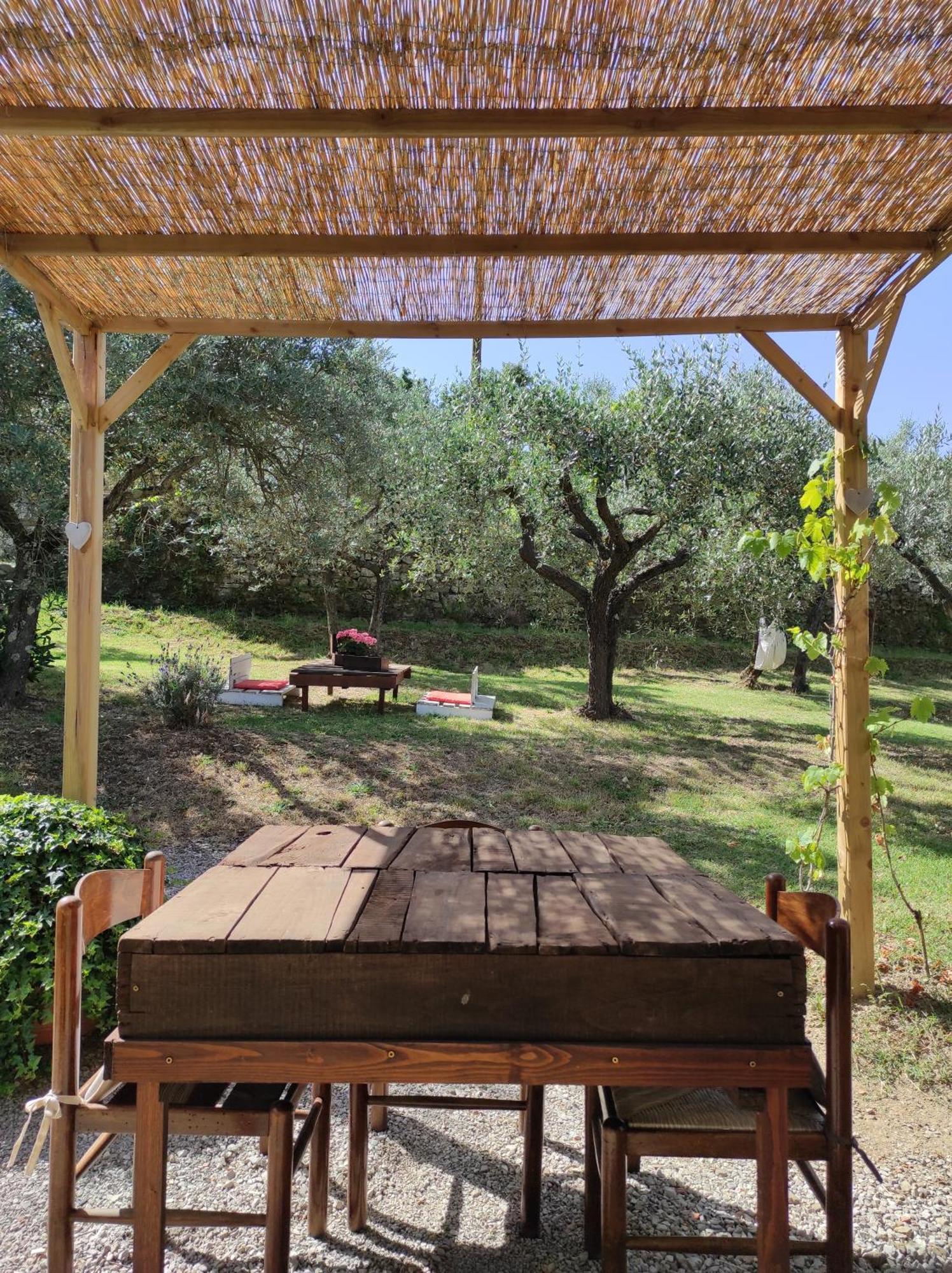 La Casa Tra Gli Ulivi Bed & Breakfast Кортона Екстериор снимка